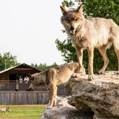 Lodges insolites chez RDV en Terre Animale
