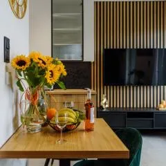Rio - Apartament Plaza Tower - Targi Kielce - Faktura VAT- INVOICE - Air Condition