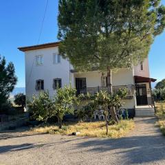 Alida Home Pamukkale