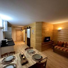 Appartement au pied des pistes