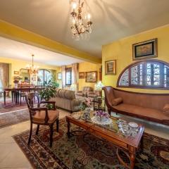 Dolfi Grand Loft