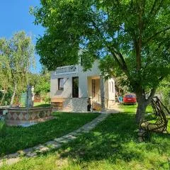 Pilis Hills View Deluxe House with Pool & AC near Bp