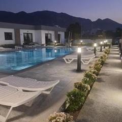 Blue Island Holiday Rentals 2