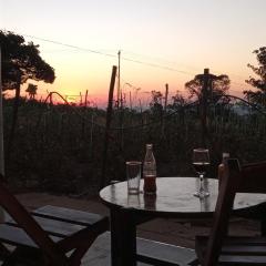 Country cottage in urban Nyanga