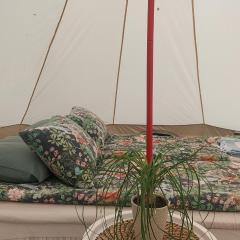 Glamping & Floating Sauna