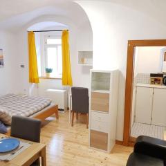 Komfortable Wohnung mit Garten im Zentrum von Graz