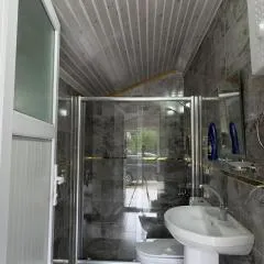 büyükdere konakları