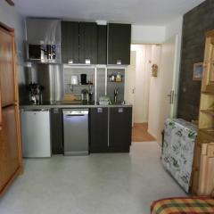 Studio 18m² à 50m des pistes avec balcon, 3 pers., animaux admis - FR-1-557A-57