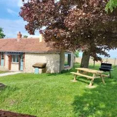 Maison de charme en pleine nature avec verger et activités familiales à Gémigny. - FR-1-590-436