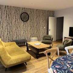 Appartement 12 pers. neuf, centre-ville avec 5 chambres et local à ski - FR-1-234-289