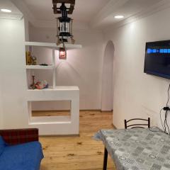 APARTMENT in MESTIA