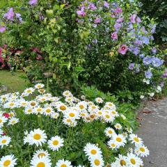 Picos de Europa Suites and Rooms