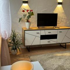 Apartment Balingen City