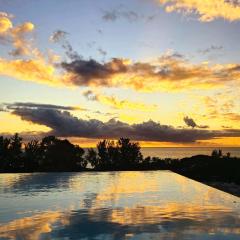 Luxury Penthouse with Infinity Pool & Stunning Sea View