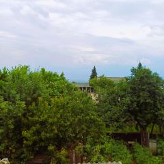Guest house Matsantsara