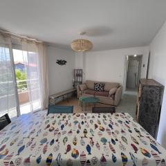 Appartement T2 à 50 M de la plage - 4CDUSUD8