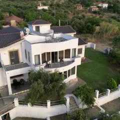 Zografos Studios Zacharo Zakharo
