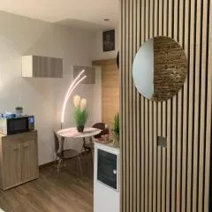 Studio 25m2 en plein cœur de Perpignan