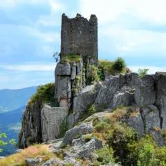 La Salamandre