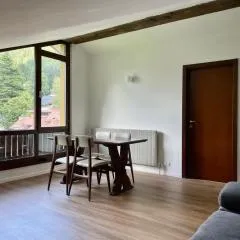 Trilocale mansardato Pinzolo