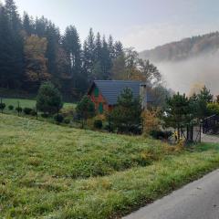 Domek za lasem