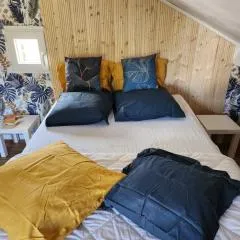 Duplex 1