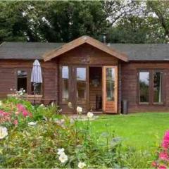 The 'SHED' Log Cabin, Bishop Sutton