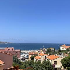 Appart à Banyuls-sur-Mer, terrasse, parking, clim, vue mer - FR-1-309-45