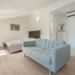 Studio apartman Mili