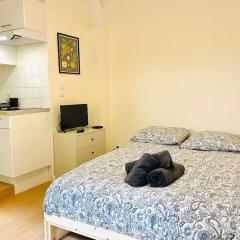 Le petit meublé hyper Centre