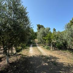 Vlora Three Houses