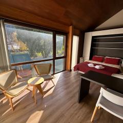 Monoambiente de diseño único, muy cálido y bien ubicado. 18V2