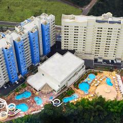 Suite Golden Dolphin