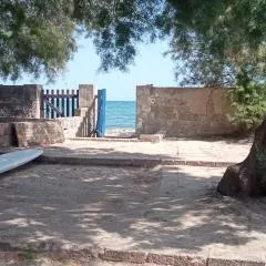 Nadina
