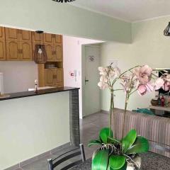 Apartamento Centro - Jardim Caiahu -