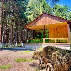 Milenium magic villas on Sevan beach