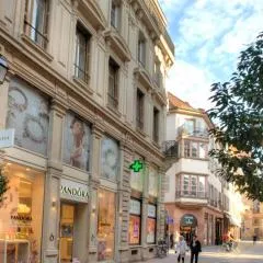 Appartements Le Dome - Quartier Cathédrale
