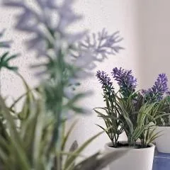 La tappa del vignaiolo Home