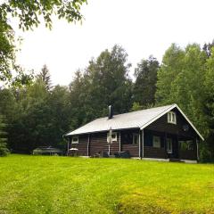 Koselig hytte i Sverige 20 minutter fra norskegrensen Ostervallskog