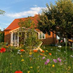 Storchenwiese Wald Meer Natur