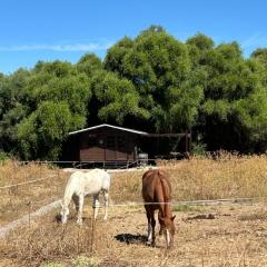 Cabaña rústica en un rancho con caballos, Prado del Rey, Andalucía