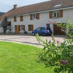 Gîte paisible avec terrasse et WIFI, proche de Gérardmer - 2 chambres, animaux acceptés - FR-1-589-216