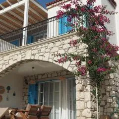 Havuzlu taş villa 2