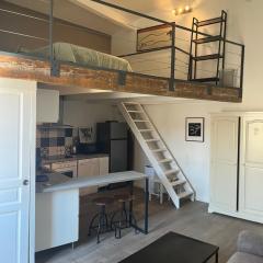 Le Loft de Roxane Centre historique Aix en Provence