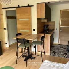 Studio rénové pour 4 au Grand-Bornand, balcon, casier à ski - FR-1-458-194