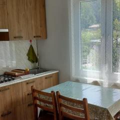kazbegi apartamenti kiara