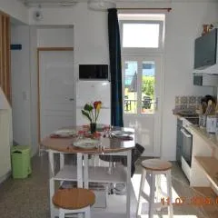 Charmant Duplex avec Jardin Privé, à 20km des Caps - FR-1-376-116