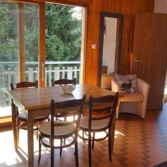 Les Gets, 2 Pièces, 4 Pers, Centre, WiFi, Draps et Serviettes Inclus - FR-1-802-36