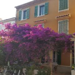 Lei Gabians à Porquerolles