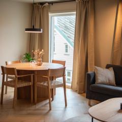 Penthouse, heart of city center, high standard